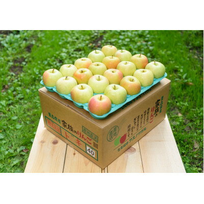 【ふるさと納税】【青森市産】糖度12度以上保証!訳ありトキ家庭用約10kg【配送不可地域：離島・沖縄県】【1435987】のサムネイル
