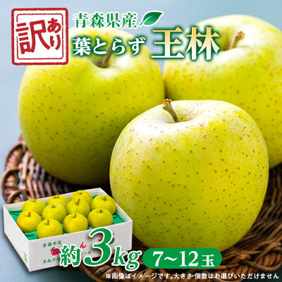 【ふるさと納税】【訳ありりんご】葉とらず王林約3kg(お試し用)【配送不可地域：離島・沖縄県】【1466366】のサムネイル