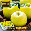 【ふるさと納税】【贈答用にもどうぞ】 青森市産りんご「葉とらず王林」約5kg【配送不可地域:離島・沖縄県】【1466369】
