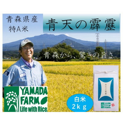 【ふるさと納税】【さつき米】青森県産米「青天の霹靂」白米 2