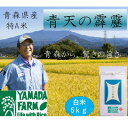 人気ランキング第22位「青森県青森市」口コミ数「0件」評価「0」【さつき米】青森県産米「青天の霹靂」白米 5kg【1489641】