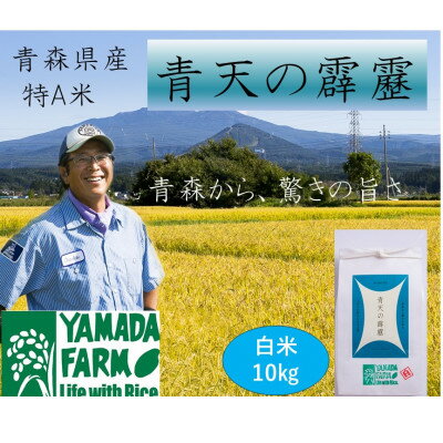 【ふるさと納税】【さつき米】青森県産米「青天の霹靂」白米 10kg【1489647】
