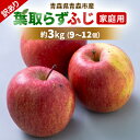 【ふるさと納税】【訳あり】りんご 「葉取らずふじ」 (家庭用)約3kg(9~12個入り)【配送不可地域:離島】【1496471】