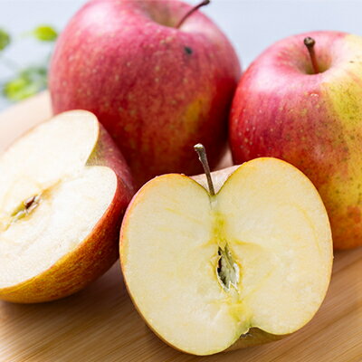 【ふるさと納税】【訳あり】りんご 「葉取らずふじ」 (家庭用)約3kg(9～12個入り)【配送不可地域：離島】【1496471】