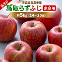 【ふるさと納税】【訳あり】りんご 「葉取らずふじ」 (家庭用)約5kg(14〜20個入)【配送不可地域:離島】【1496472】