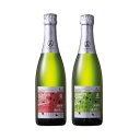 【ふるさと納税】A-FACTORY アオモリシードル520ml 2種セットA(スタンダード&ドライ)【1502820】