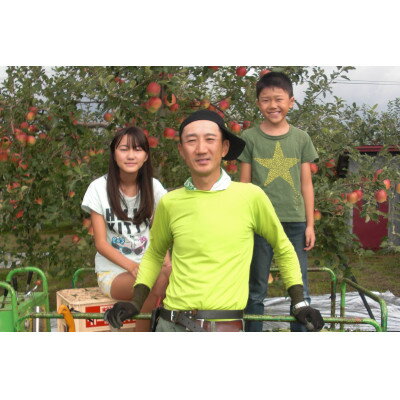 【ふるさと納税】【百年続く青森のりんご農家直送】葉とらずサンふじ 　約3kg　贈答用【12月から発送開始】【配送不可地域：離島】【1506061】