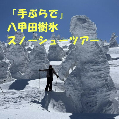 【ふるさと納税】「手ぶらで」八甲田樹氷スノーシューツアー1名様【体験時間:約2時間】【1523091】
