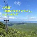 【ふるさと納税】八甲田「毛無パラダイスライン」トレッキング1名様【体験時間:約5時間】【1529761】
