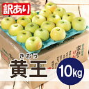 【ふるさと納税】【25年8月より順次発送】平均糖度12度以上! 黄王 約10kg 訳あり クール便【配送不可地域:離島・沖縄県】【1606195】