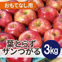 【ふるさと納税】【2025年10月発送予定】平均糖度12度以上! 葉とらずサンつがる 約3kg おもてなし用【配送不可地域:離島・沖縄県】【1607040】