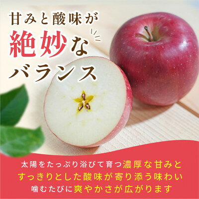 【ふるさと納税】【2026年9月から発送予定】平均糖度12度以上! 葉とらずサンつがる 約3kg おもてなし用【配送不可地域：離島・沖縄県】【1607040】 f022012-aomori-10001077 青森県青森市 サンプル画像3
