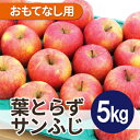【ふるさと納税】【2025年11月発送予定】平均糖度13度以上! 葉とらずサンふじ 約5kg おもてなし用【配送不可地域:離島・沖縄県】【1607467】