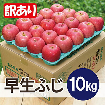 【ふるさと納税】【2025年10月発送予定】平均糖度12度以上! 早生ふじ 約10kg 訳あり【配送不可地域:離島・沖縄県】【1607479】