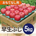 【ふるさと納税】【2025年11月発送予定】平均糖度13度以上! 早生ふじ 約5kg おもてなし用【配送不可地域:離島・沖縄県】【1607551】