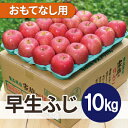 【ふるさと納税】【2025年11月発送予定】平均糖度13度以上! 早生ふじ 約10kg おもてなし用【配送不可地域:離島・沖縄県】【1607554】