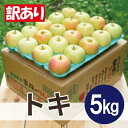 【ふるさと納税】【2025年12月より順次発送】平均糖度13度以上! トキ 約5kg 訳あり【配送不可地域:沖縄県】【1608036】