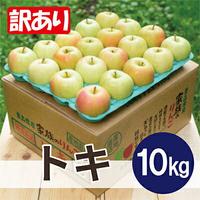 【ふるさと納税】【2026年1月より順次発送】平均糖度13度以上! トキ 約10kg 訳あり【配送不可地域:沖縄県】【1608066】