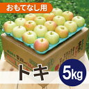 【ふるさと納税】【2026年2月より順次発送】平均糖度13度以上! トキ 約5kg おもてなし用【配送不可地域:沖縄県】【1608088】