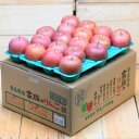 【ふるさと納税】【26年4月より順次発送】平均糖度13度以上! サンふじ 約10kg 訳あり CA貯蔵 クール便【配送不可地域:離島・沖縄県】【1609611】