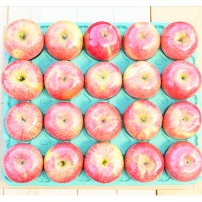 【ふるさと納税】平均糖度13度以上! サンふじ 約10kg 訳あり CA貯蔵 クール便【配送不可地域：離島・沖縄県】【1609611】