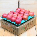 【ふるさと納税】【25年11月より順次発送】平均糖度13度以上! サンふじ 約5kg 訳あり【配送不可地域:離島・沖縄県】【1609618】