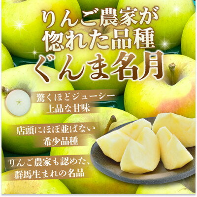 【ふるさと納税】【26年11月より順次発送】平均糖度13度以上! ぐんま名月 約5kg 訳あり【配送不可地域：離島・沖縄県】【1609636】