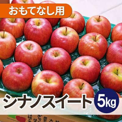 【ふるさと納税】【26年4月より順次発送】平均糖度13度以上! シナノスイート 約5kg おもてなし用 クール便【配送不可地域:離島・沖縄県】【1611738】