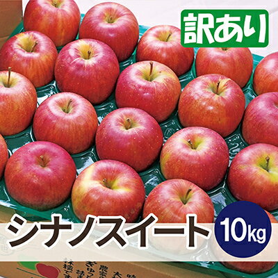 【ふるさと納税】【26年3月より順次発送】平均糖度13度以上! シナノスイート 約10kg 訳あり【配送不可地域：離島・沖縄県】【1611744】