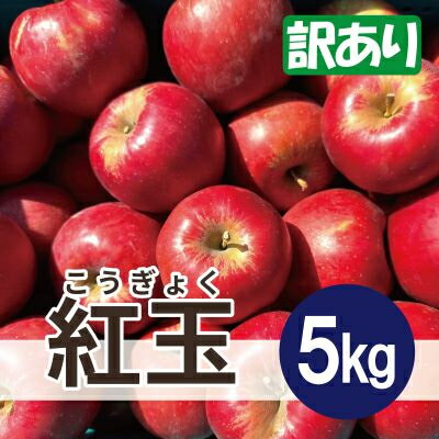 【ふるさと納税】【25年12月出荷予定】 紅玉 約5kg 訳あり【配送不可地域:離島・沖縄県】【1612076】