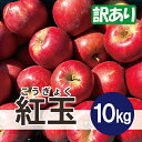【ふるさと納税】【26年2月出荷予定】 紅玉 約10kg 訳あり【配送不可地域:離島・沖縄県】【1612090】