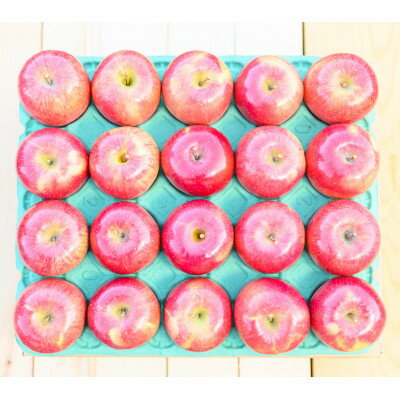 【ふるさと納税】平均糖度13度以上! サンふじ 約5kg 贈答【配送不可地域：離島・沖縄県】【1612814】