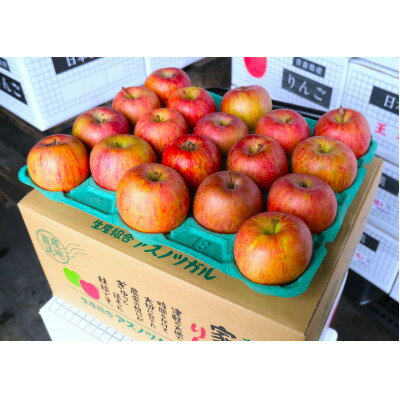 【ふるさと納税】【26年6月出荷予定】平均糖度13度以上! サンふじ 約5kg おもてなし用 CA貯蔵 クール便【配送不可地域:離島・沖縄県】【1612834】
