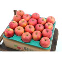 【ふるさと納税】【26年2月出荷予定】平均糖度13度以上! 葉とらずサンふじ 約5kg 訳あり【配送不可地域:離島・沖縄県】【1612850】