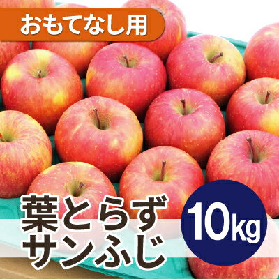 【ふるさと納税】【26年1月出荷予定】平均糖度13度以上! 葉とらずサンふじ 約10kg おもてなし用【配送不可地域:離島・沖縄県】【1612851】