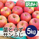 【ふるさと納税】【25年12月出荷予定】平均糖度13度以上! 葉とらずサンふじ 約5kg 訳あり【配送不可地域:離島・沖縄県】【1612859】