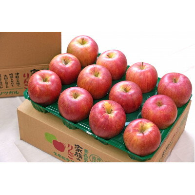【ふるさと納税】【26年1月出荷予定】平均糖度13度以上! シナノスイート 約5kg おもてなし用【配送不可地域:離島・沖縄県】【1612866】