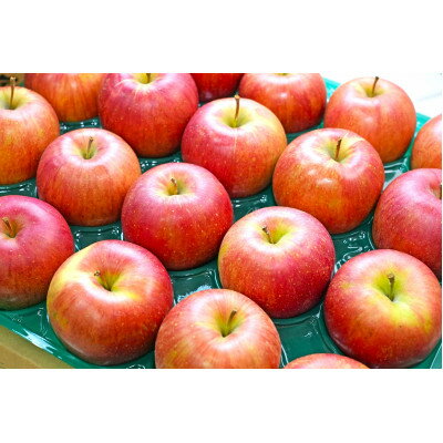 【ふるさと納税】平均糖度13度以上! シナノスイート 約5kg 訳あり【配送不可地域：離島・沖縄県】【1612868】