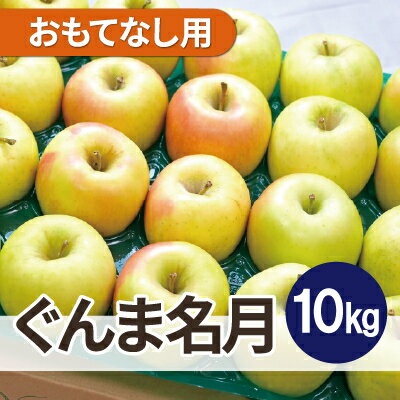 【ふるさと納税】【26年4月出荷予定】平均糖度13度以上! ぐんま名月 約10kg おもてなし用 CA貯蔵 クール便【配送不可地域：離島・沖縄県】【1612876】