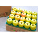 【ふるさと納税】【26年4月出荷予定】平均糖度13度以上! ぐんま名月 約5kg おもてなし用 CA貯蔵 クール便【配送不可地域:離島・沖縄県】【1612877】(4)