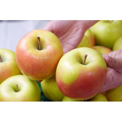 青森県青森市の画像2