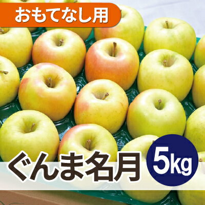 【ふるさと納税】【26年1月出荷予定】平均糖度13度以上! ぐんま名月 約5kg おもてなし用【配送不可地域:離島・沖縄県】【1612891】