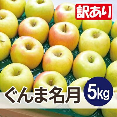 【ふるさと納税】【25年12月出荷予定】平均糖度13度以上! ぐんま名月 約5kg 訳あり【配送不可地域:離島・沖縄県】【1612898】