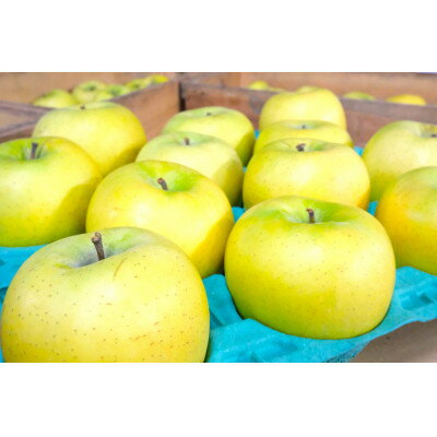 青森県青森市の画像2