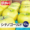 【ふるさと納税】【26年6月出荷予定】平均糖度13度以上! シナノゴールド 約10kg 訳あり CA貯蔵 クール便【配送不可地域:離島・沖縄県】【1612901...