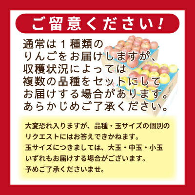 【ふるさと納税】【25年11月出荷】りんご 品種おまかせ 約3kg 訳あり【配送不可地域：離島・沖縄県】【1612938】
