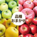 【ふるさと納税】【26年2月出荷予定】りんご 品種おまかせ 約3kg 訳あり【配送不可地域:離島・沖縄県】【1612941】(4)
