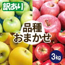 【ふるさと納税】【25年9月出荷予定】りんご 品種おまかせ 約3kg 訳あり クール便【配送不可地域:離島・沖縄県】【1613008】
