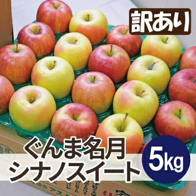 【ふるさと納税】【25年11月出荷予定】糖度13度以上保証! ぐんま名月×シナノスイート 約5kg 訳あり【配送不可地域:離島・沖縄県】【1613011】