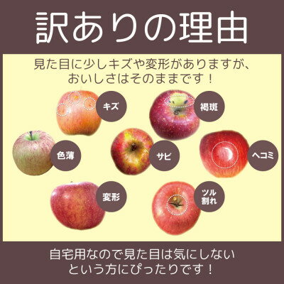 【ふるさと納税】【25年11月出荷予定】糖度13度以上保証! ぐんま名月×シナノスイート 約5kg 訳あり【配送不可地域：離島・沖縄県】【1613011】